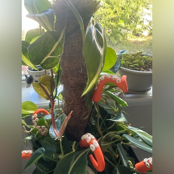 8 Orange Sea Creature Tentacles 🦑Decor Tentacle Unique Modern Indoor Plant - Picture 4 of 7